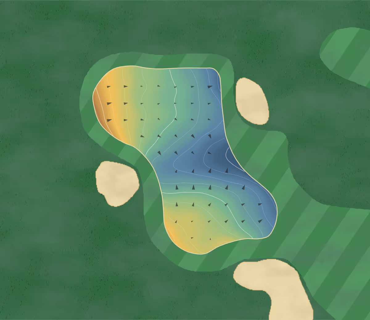 Green contour map of Maryborough in Australia — 125 elevation contours at a 8-centimeter interval with fall-line arrows, traced from 1-meter lidar