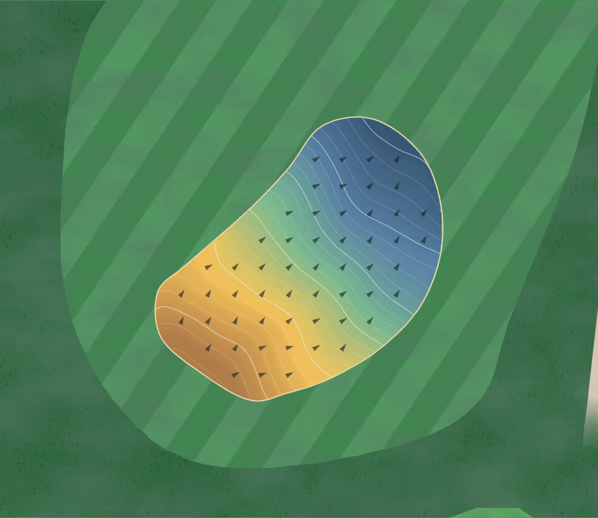 Green contour map of Mason Rudolph in Clarksville, Tennessee — 116 elevation contours at a 3-inch interval with fall-line arrows, traced from 1-meter lidar