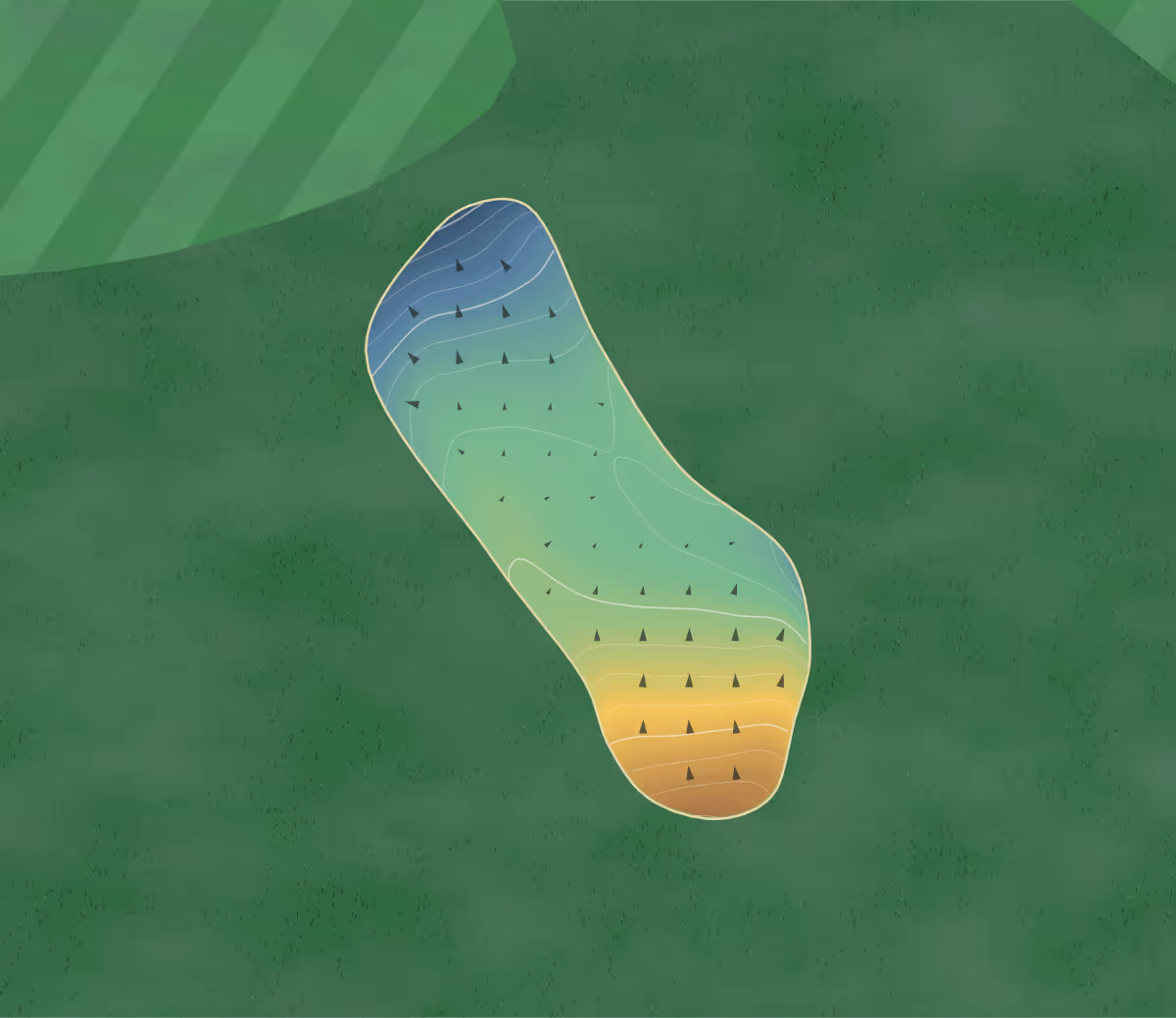 Green contour map of Massey Park in Concord, Sydney, Australia — 157 elevation contours at a 8-centimeter interval with fall-line arrows, traced from 1-meter lidar
