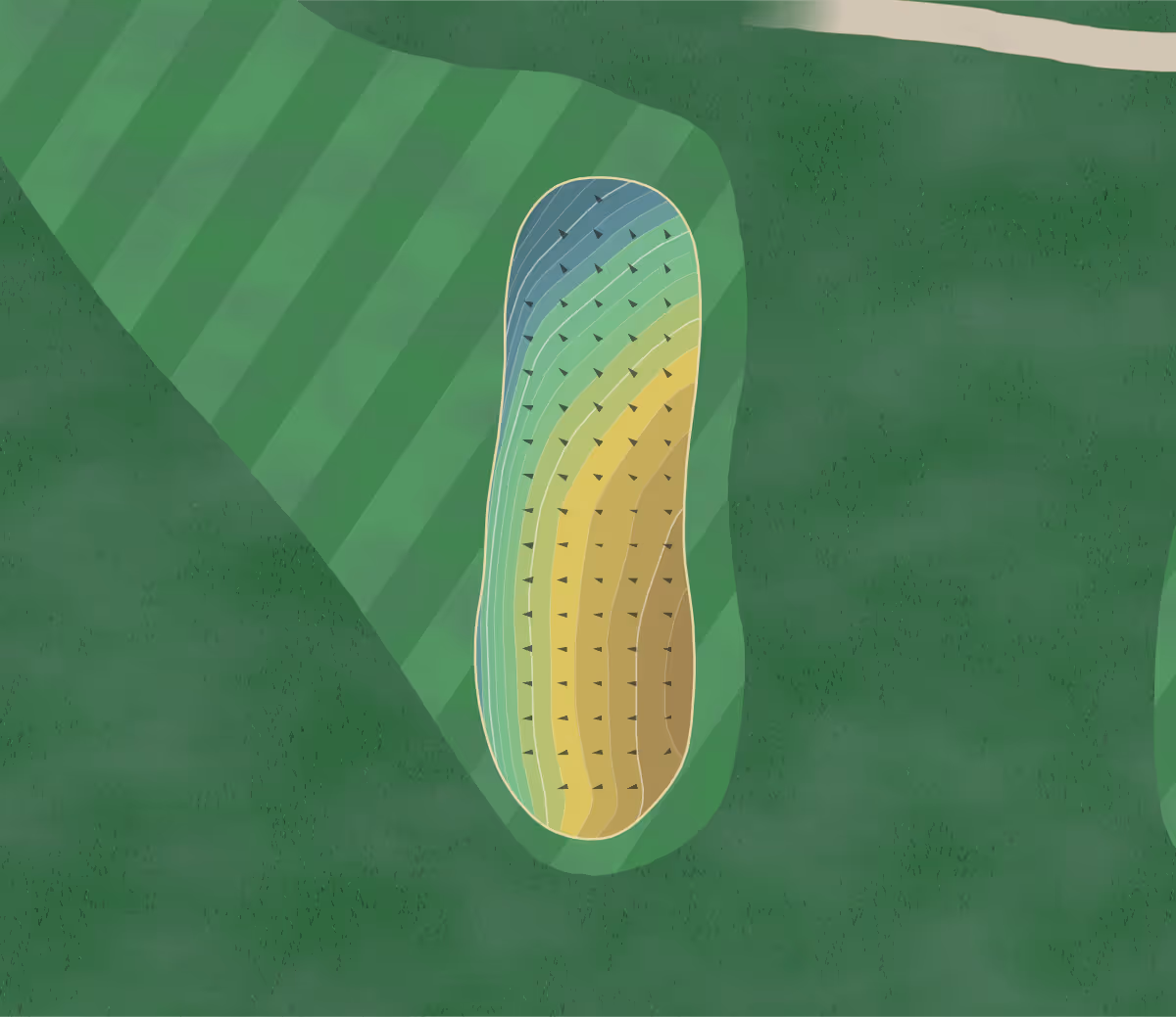 Green contour map of Mayflower in Fairfax, Minnesota — 110 elevation contours at a 3-inch interval with fall-line arrows, traced from 1-meter lidar