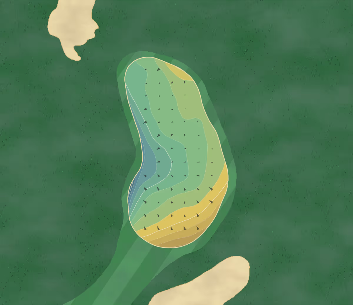 Green contour map of King's North in Myrtle Beach, South Carolina — 158 elevation contours at a 3-inch interval with fall-line arrows, traced from 1-meter lidar