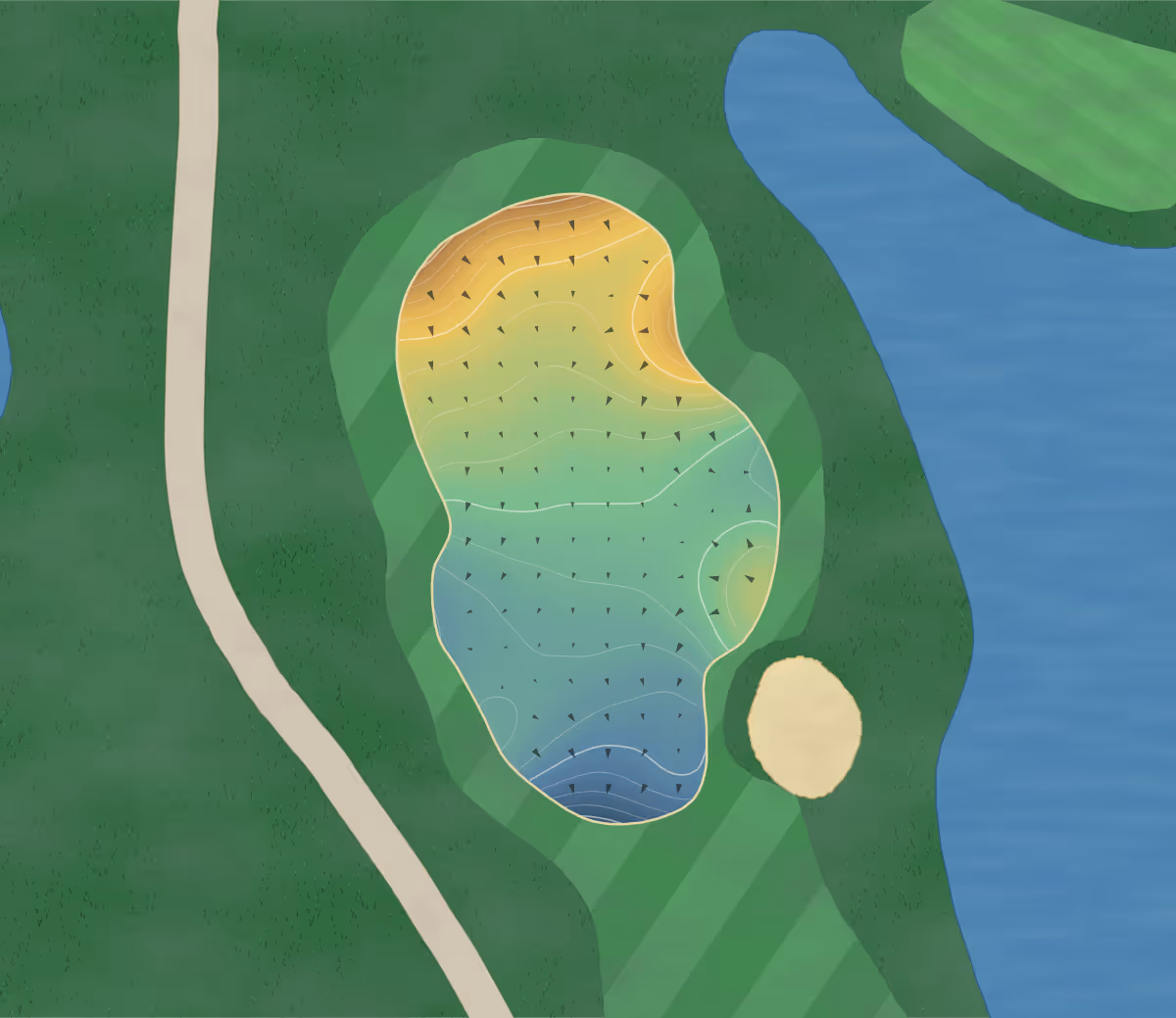 Green contour map of McCleery in Vancouver, Canada — 208 elevation contours at a 8-centimeter interval with fall-line arrows, traced from 1-meter lidar