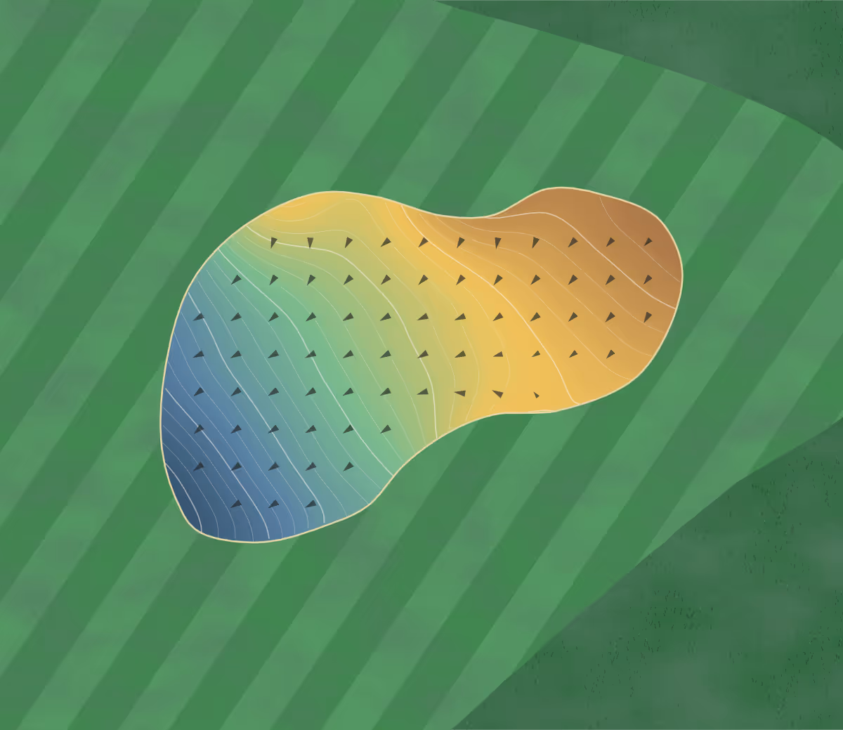 Green contour map of McCormick in McCormick, South Carolina: 151 elevation contours at a 3-inch interval with fall-line arrows, traced from 1-meter lidar