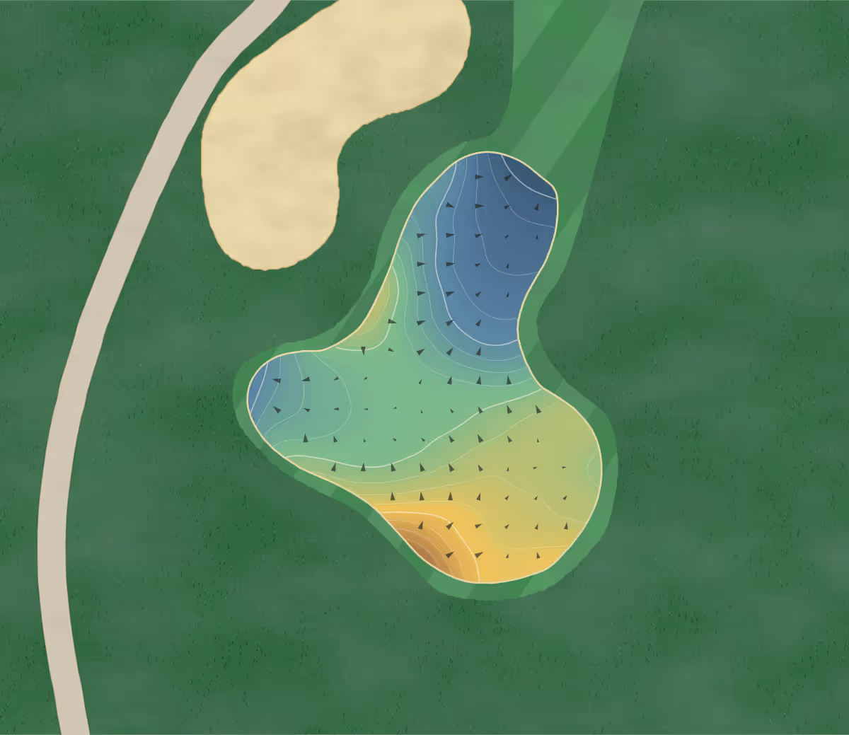 Green contour map of Mccormick Woods in Port Orchard, Washington — 224 elevation contours at a 3-inch interval with fall-line arrows, traced from 1-meter lidar