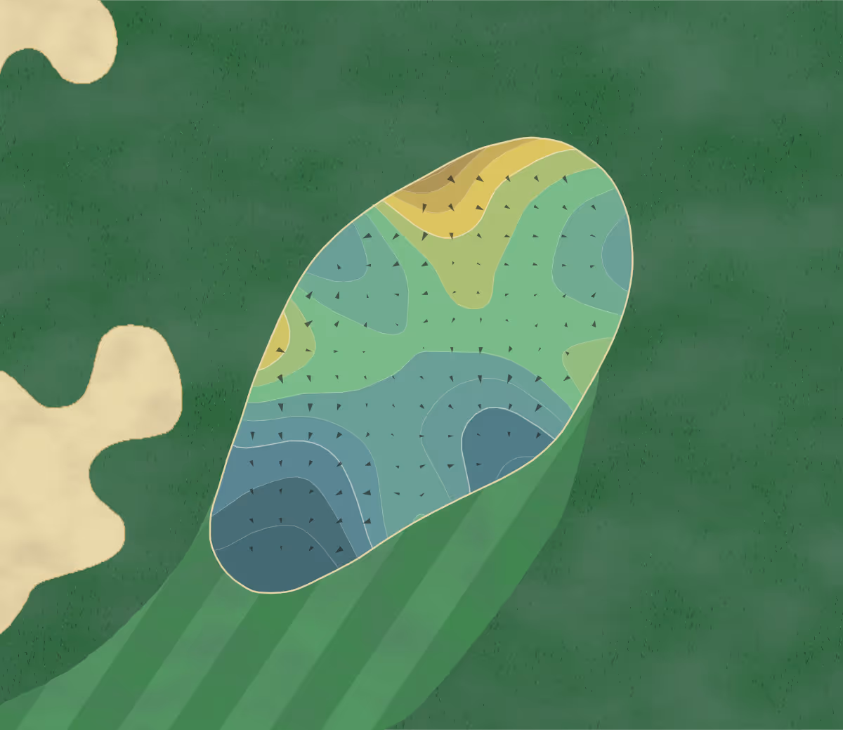 Green contour map of Meadow Brook in Wyoming, Rhode Island — 198 elevation contours at a 3-inch interval with fall-line arrows, traced from 1-meter lidar
