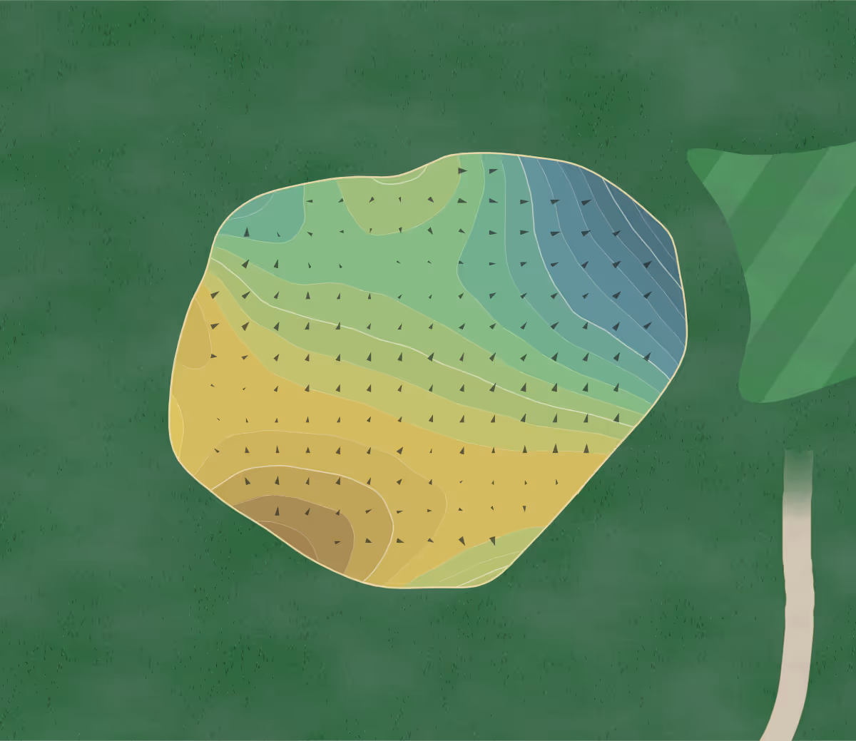Green contour map of Meadow Creek in Volga, South Dakota — 92 elevation contours at a 3-inch interval with fall-line arrows, traced from 1-meter lidar