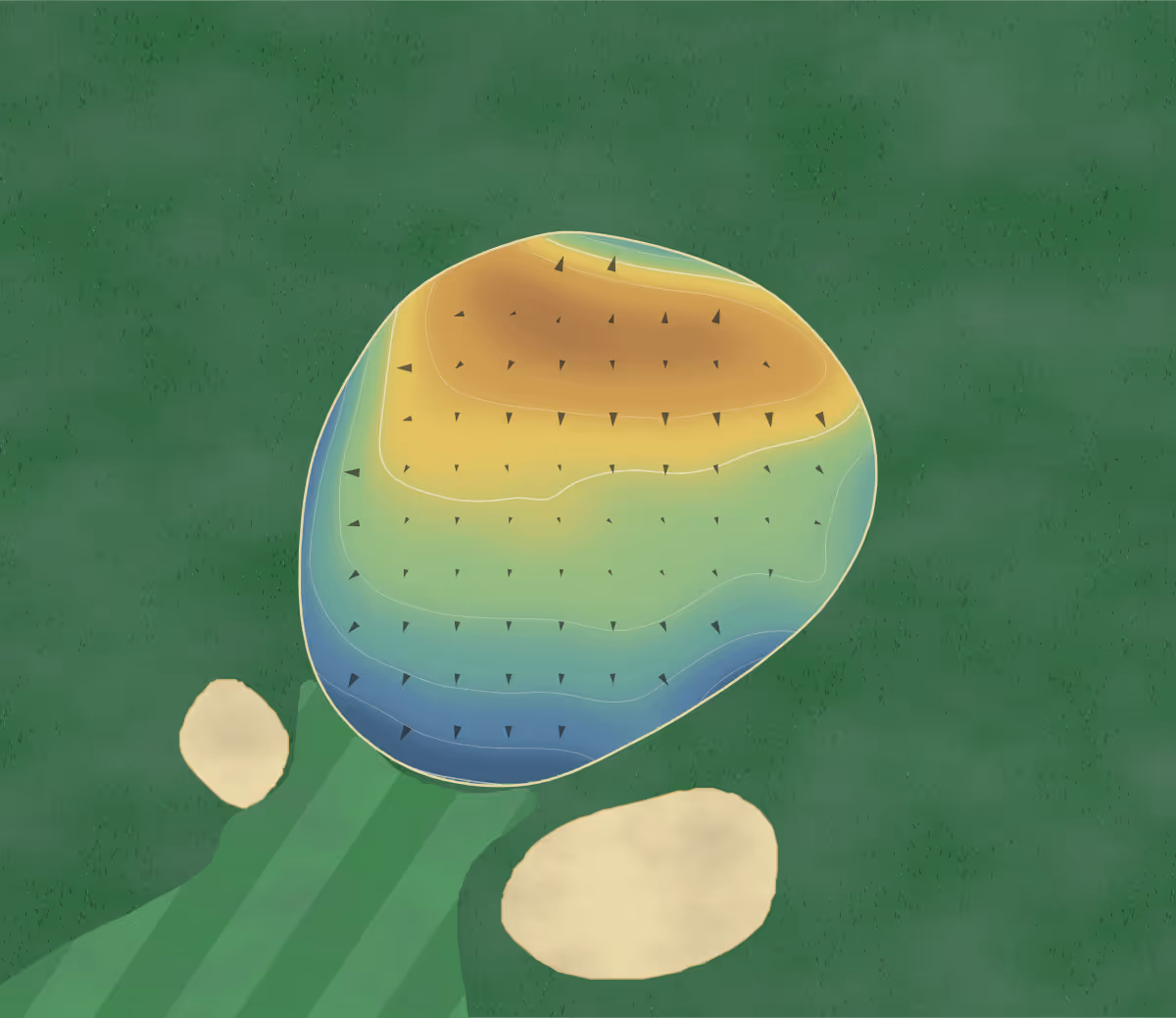 Green contour map of Meadow Lake in Clinton, Missouri: 160 elevation contours at a 3-inch interval with fall-line arrows, traced from 1-meter lidar