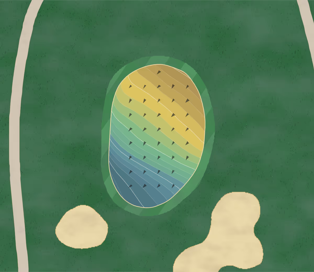Green contour map of Meadowbrook Clayton in Clayton, Ohio — 205 elevation contours at a 3-inch interval with fall-line arrows, traced from 1-meter lidar