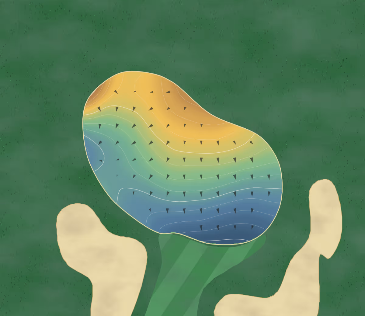 Green contour map of Meadowlands in Calabash, North Carolina: 102 elevation contours at a 3-inch interval with fall-line arrows, traced from 1-meter lidar