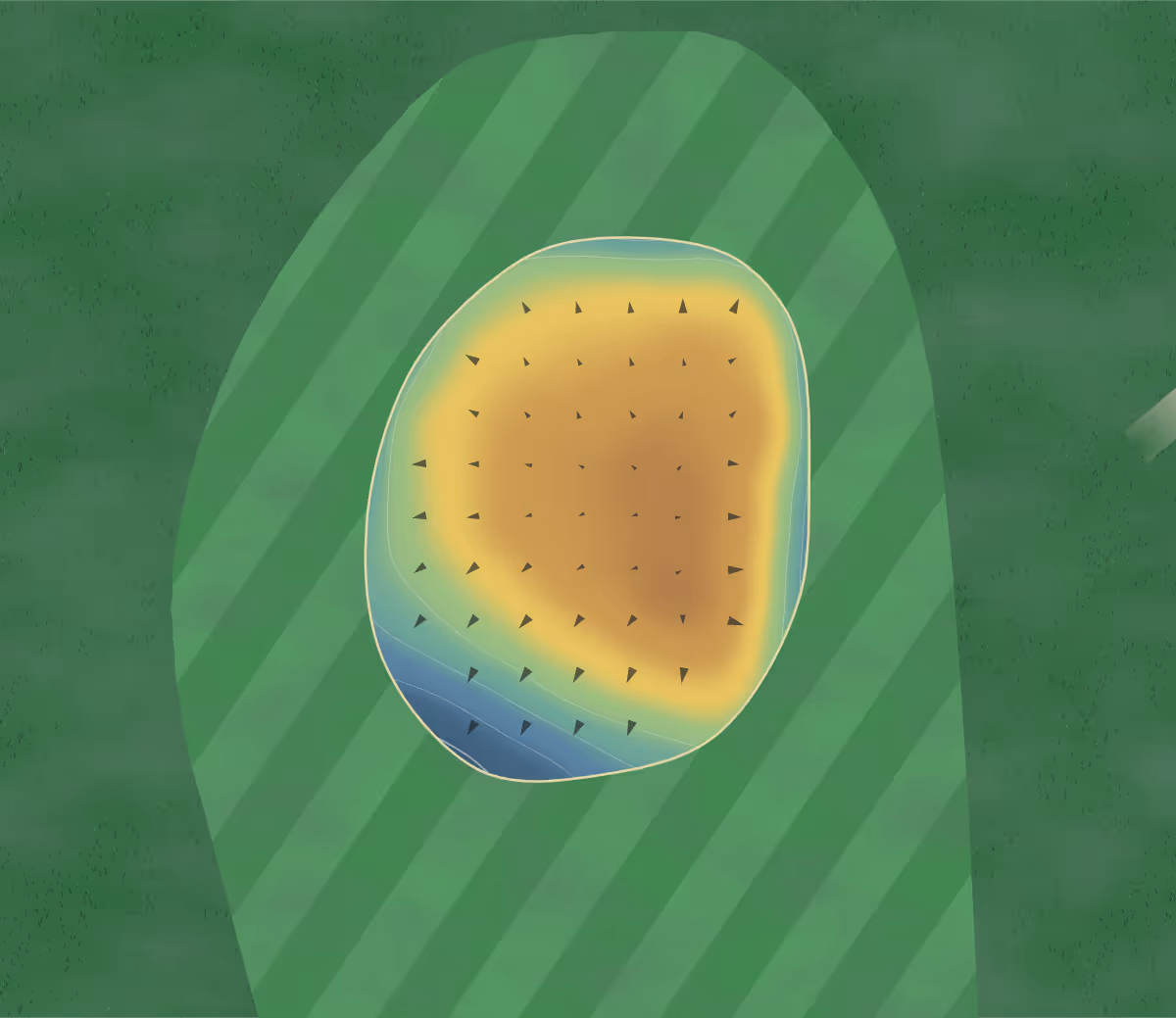 Green contour map of Meadowood in Burlington, Kentucky — 62 elevation contours at a 3-inch interval with fall-line arrows, traced from 1-meter lidar