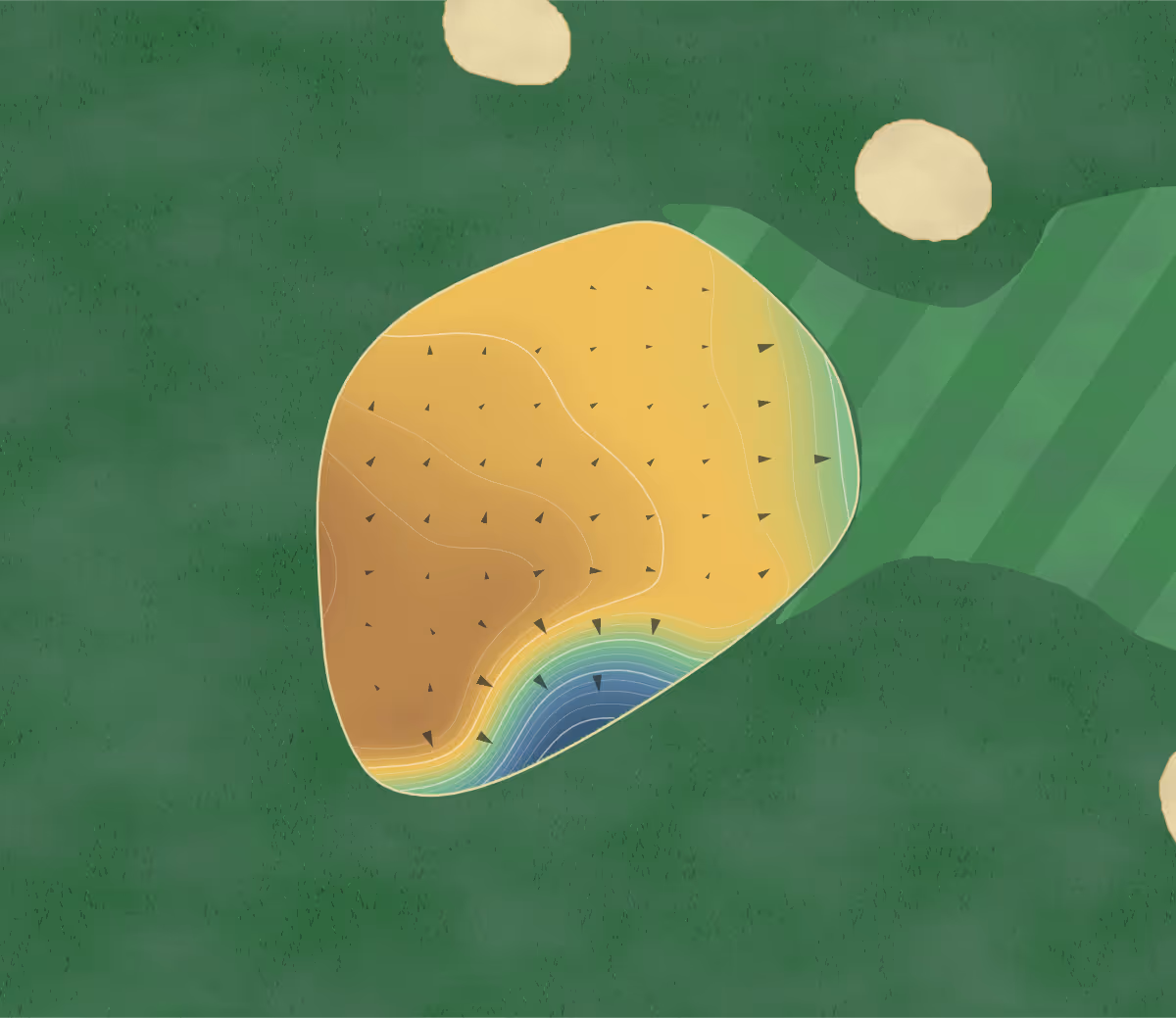 Green contour map of Meadows in Sarasota, Florida: 34 elevation contours at a 3-inch interval with fall-line arrows, traced from 1-meter lidar