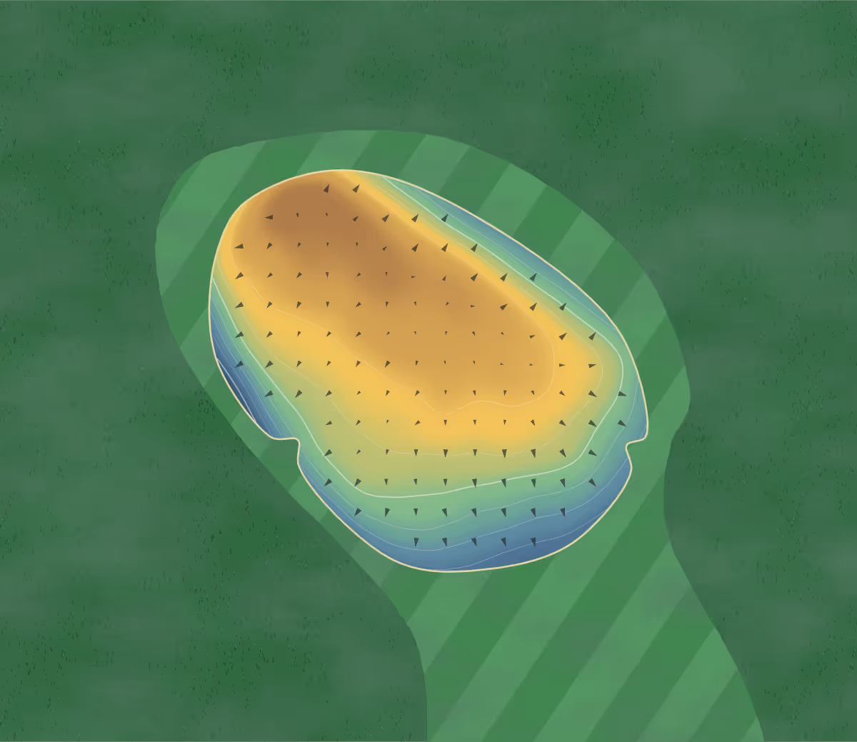 Green contour map of Melfort in Melfort, Canada — 158 elevation contours at a 8-centimeter interval with fall-line arrows, traced from 1-meter lidar