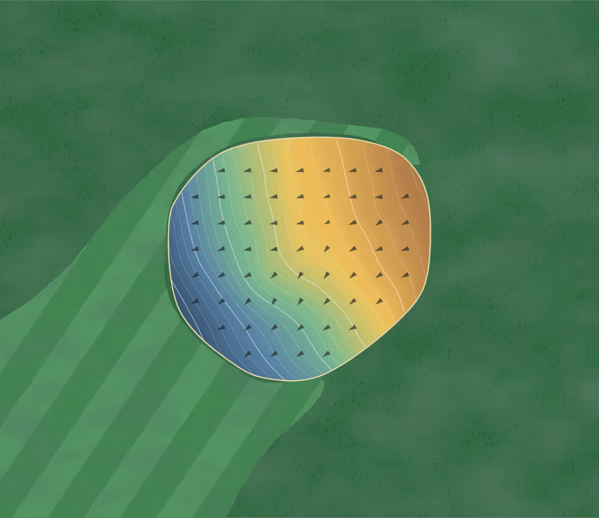 Green contour map of Melita in Melita, Canada: 91 elevation contours at a 8-centimeter interval with fall-line arrows, traced from 1-meter lidar