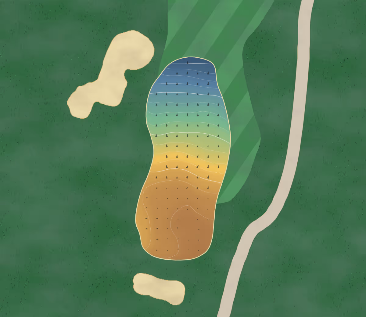 Green contour map of Metchosin in Victoria, Canada — 31 elevation contours at a 8-centimeter interval with fall-line arrows, traced from 1-meter lidar