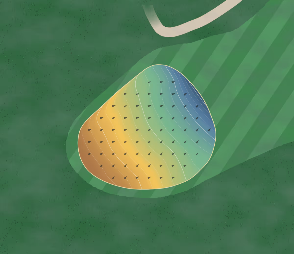 Green contour map of Meyrick Park in Bournemouth, England: 136 elevation contours at a 8-centimeter interval with fall-line arrows, traced from 1-meter lidar