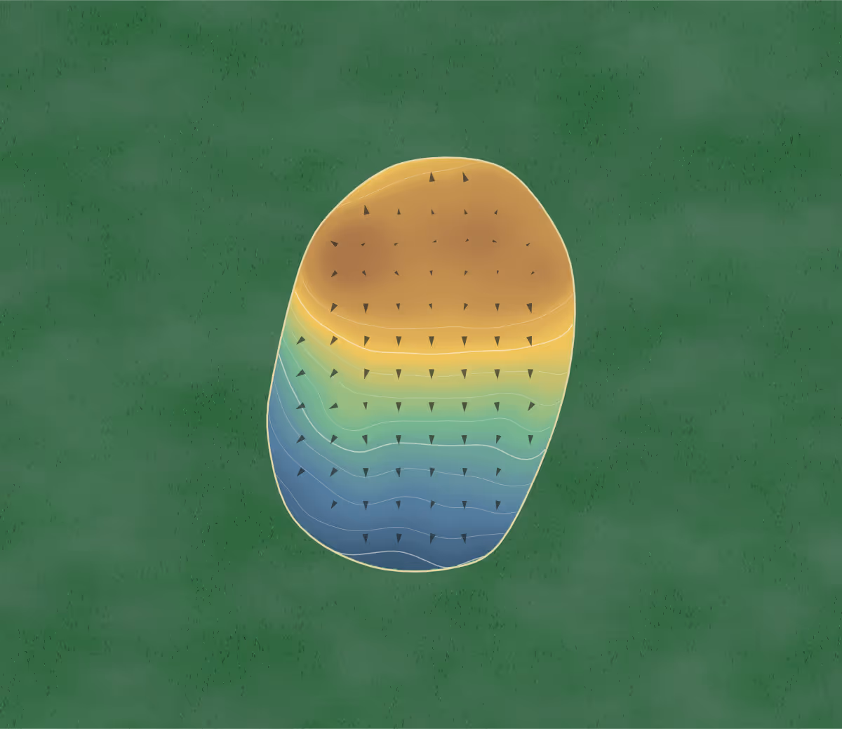 Green contour map of Michigan Meadows in Casco, Michigan: 120 elevation contours at a 3-inch interval with fall-line arrows, traced from 1-meter lidar