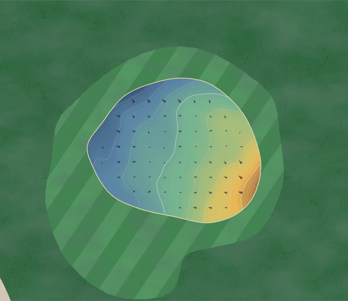 Green contour map of Michipicoten in Canada — 37 elevation contours at a 8-centimeter interval with fall-line arrows, traced from 1-meter lidar