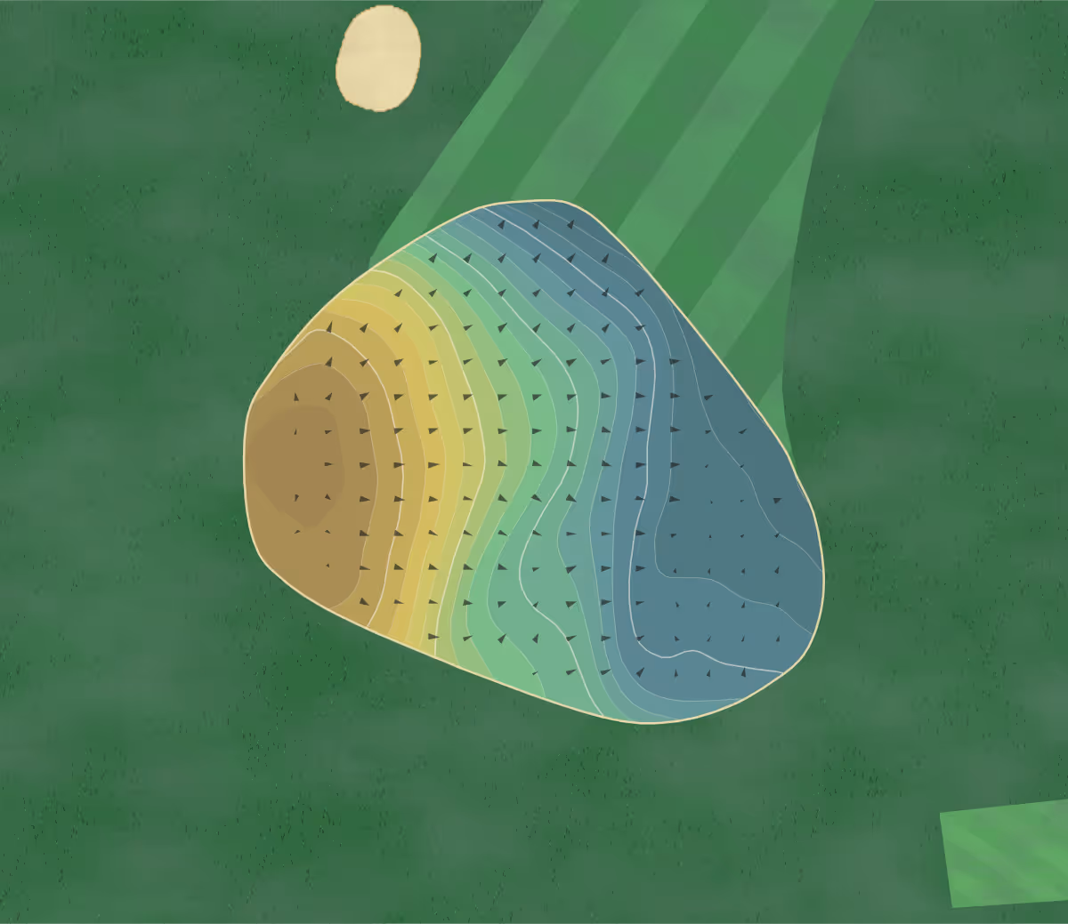 Green contour map of Middleton Hall in King's Lynn, England — 190 elevation contours at a 8-centimeter interval with fall-line arrows, traced from 1-meter lidar