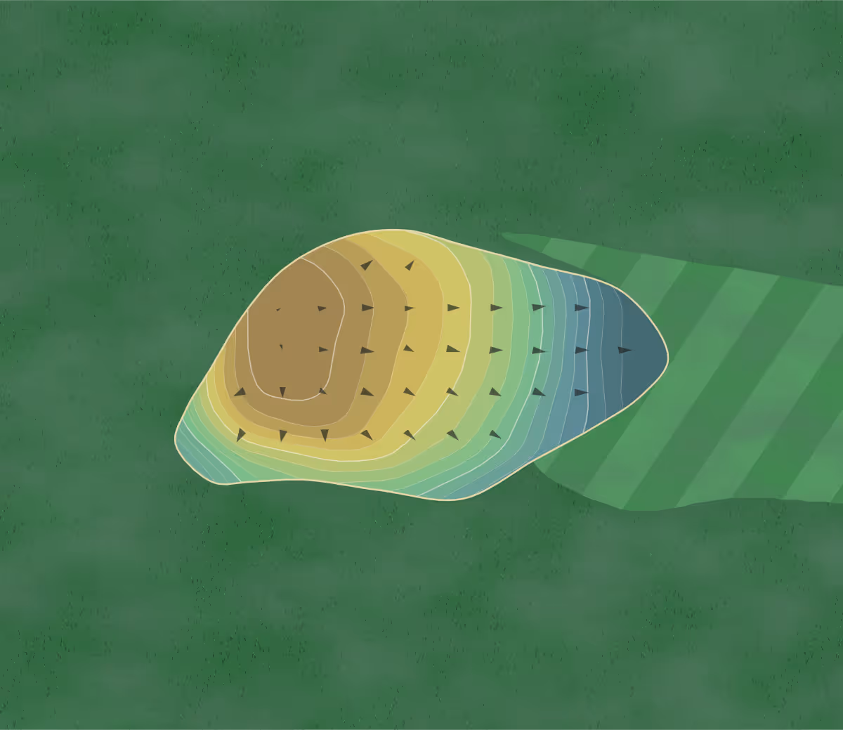Green contour map of Millbrook CC in Picayune, Mississippi — 134 elevation contours at a 3-inch interval with fall-line arrows, traced from 1-meter lidar