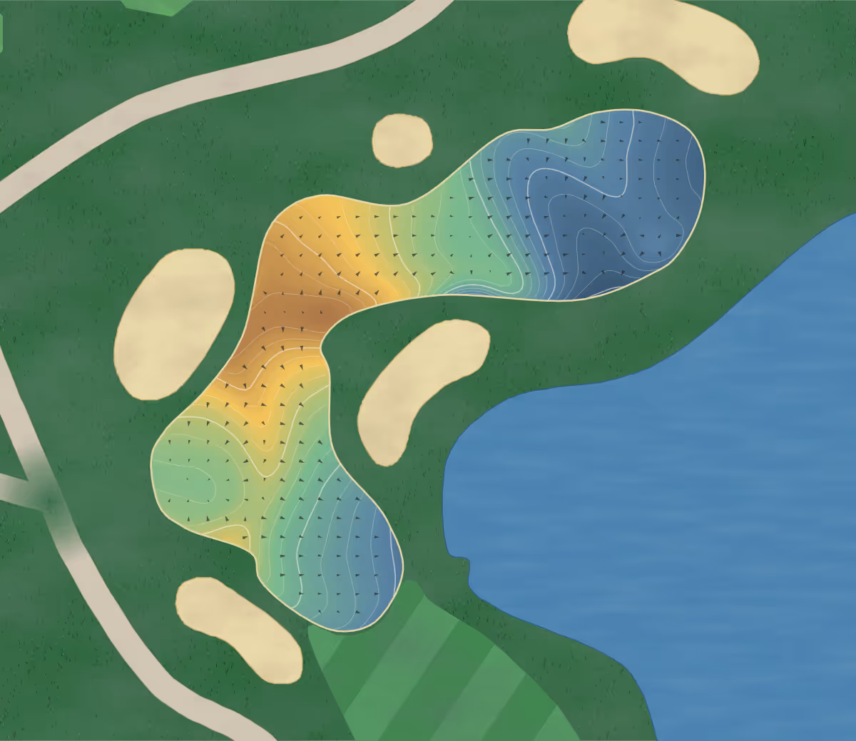 Green contour map of Minnewasta in Morden, Canada: 240 elevation contours at a 8-centimeter interval with fall-line arrows, traced from 1-meter lidar