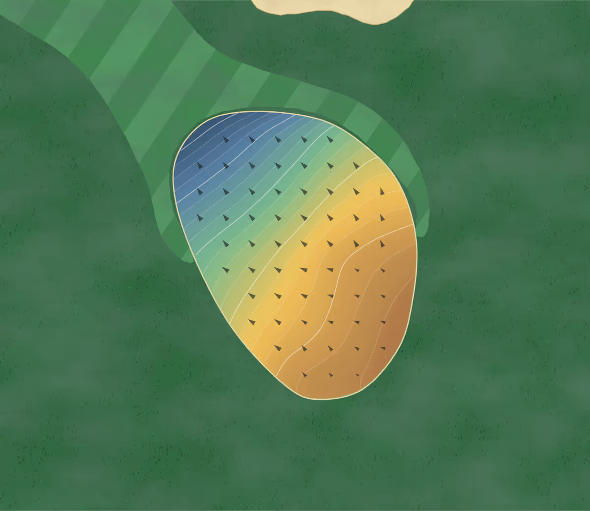 Green contour map of Minoh Golf Club in Minoo, Japan: 204 elevation contours at a 8-centimeter interval with fall-line arrows, traced from 1-meter lidar