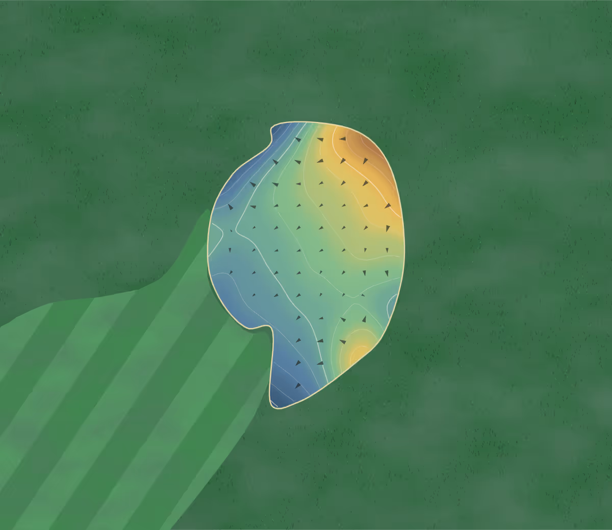 Green contour map of Mission Creek in Kelowna, Canada: 110 elevation contours at a 8-centimeter interval with fall-line arrows, traced from 1-meter lidar