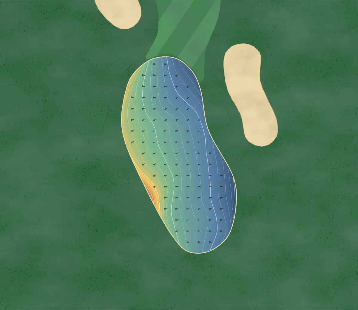 Green contour map of Mistwood in Lake Ann, Michigan — 163 elevation contours at a 3-inch interval with fall-line arrows, traced from 1-meter lidar