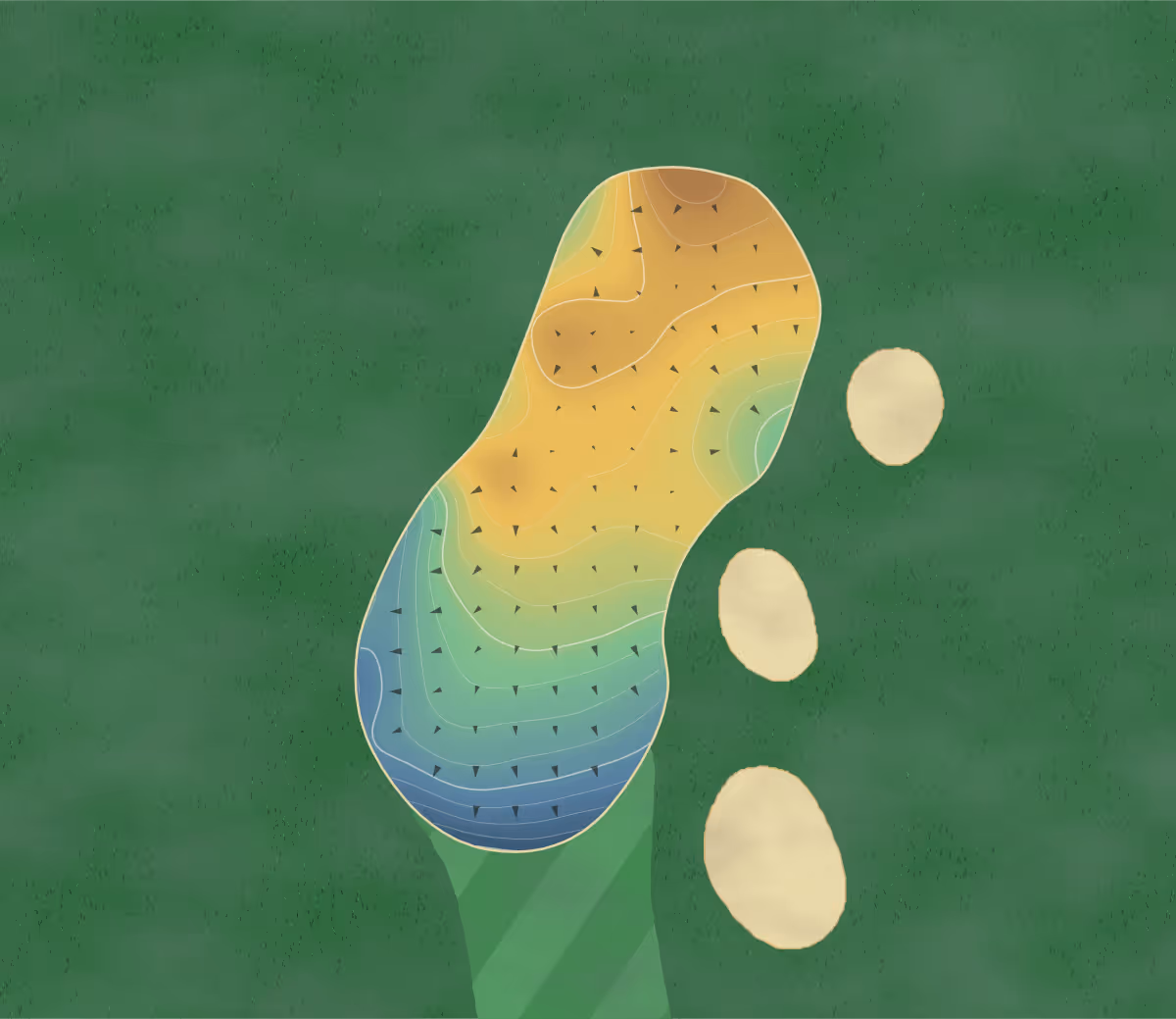 Green contour map of Misty Creek in Sarasota, Florida: 190 elevation contours at a 3-inch interval with fall-line arrows, traced from 1-meter lidar