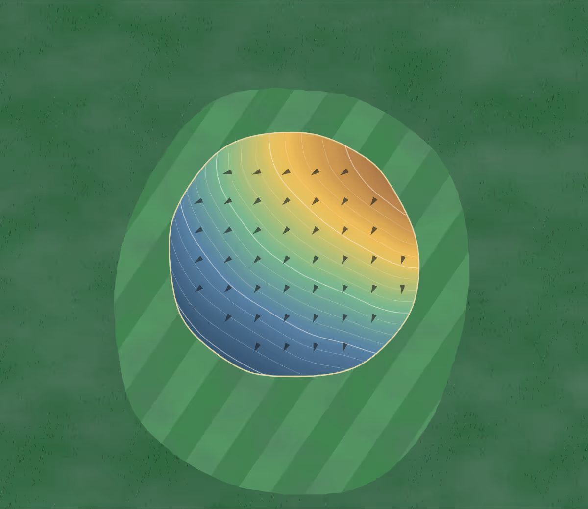 Green contour map of Mohawk in Tiffin, Ohio — 139 elevation contours at a 3-inch interval with fall-line arrows, traced from 1-meter lidar