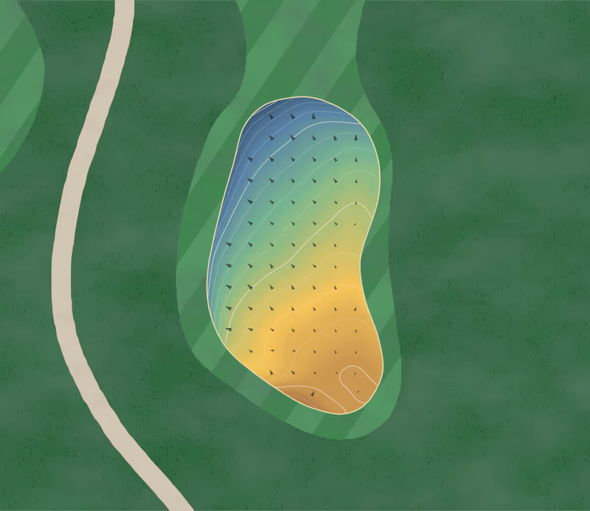 Green contour map of Ōmokoroa in Ōmokoroa, New Zealand — 179 elevation contours at a 8-centimeter interval with fall-line arrows, traced from 1-meter lidar