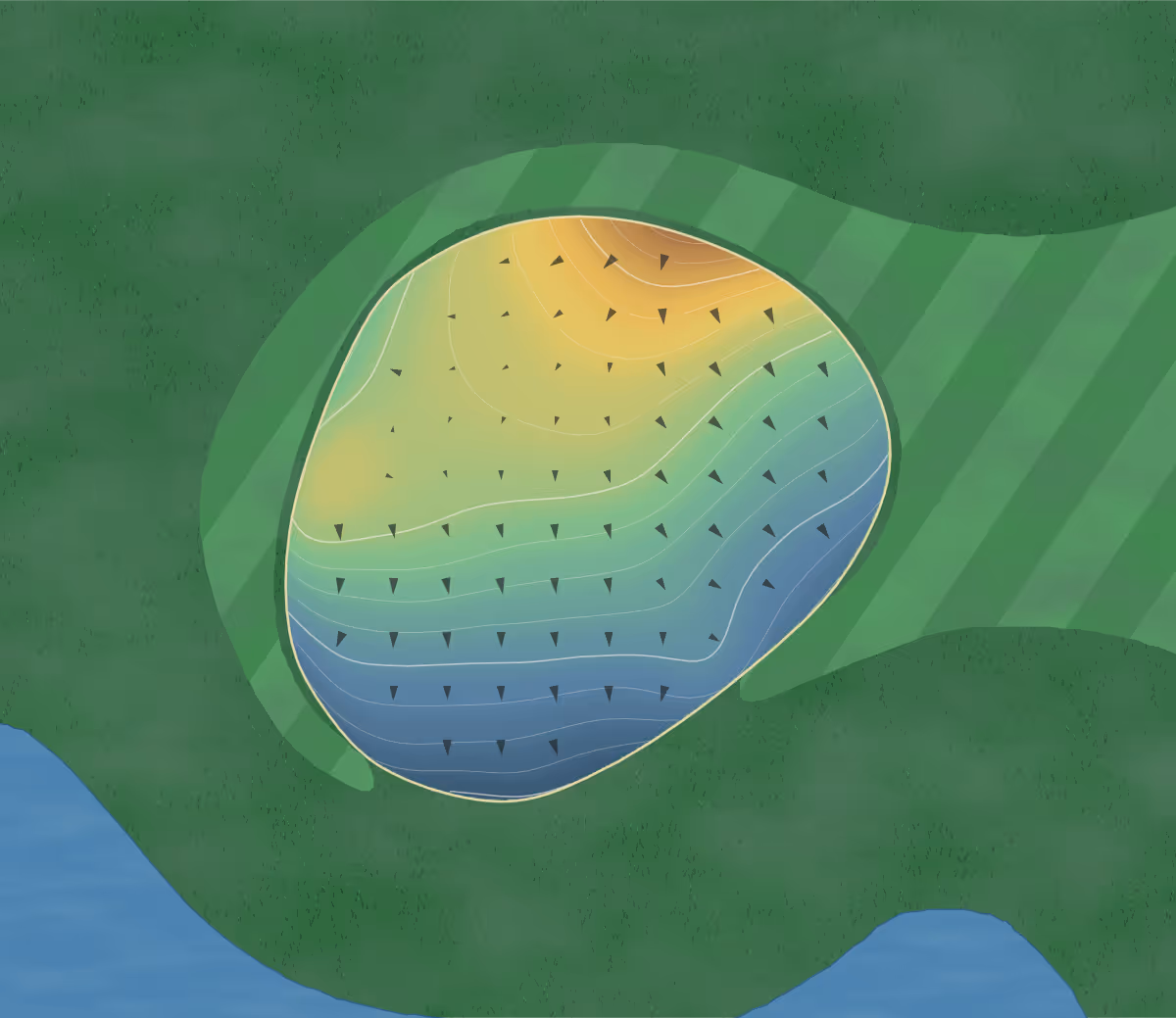 Green contour map of Monarch at Royal in Leesburg, Florida — 141 elevation contours at a 3-inch interval with fall-line arrows, traced from 1-meter lidar
