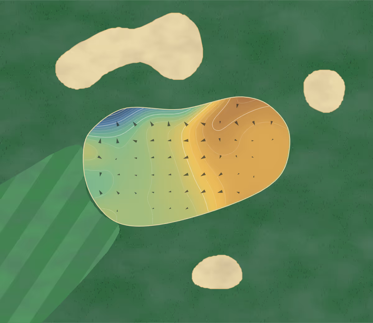 Green contour map of Monterra in Collingwood, Canada: 141 elevation contours at a 8-centimeter interval with fall-line arrows, traced from 1-meter lidar