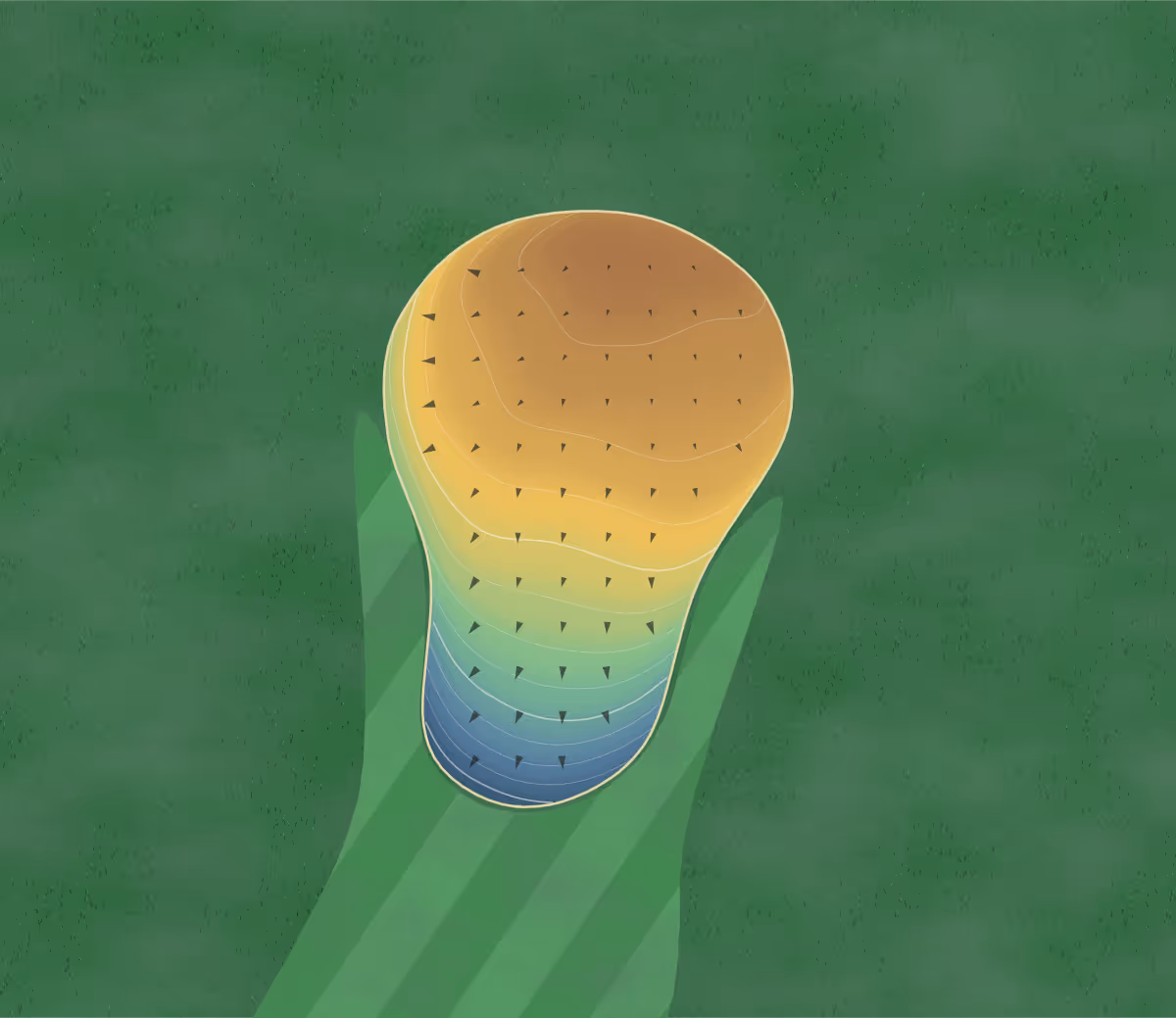 Green contour map of Montezuma in Montezuma, Iowa: 97 elevation contours at a 3-inch interval with fall-line arrows, traced from 1-meter lidar