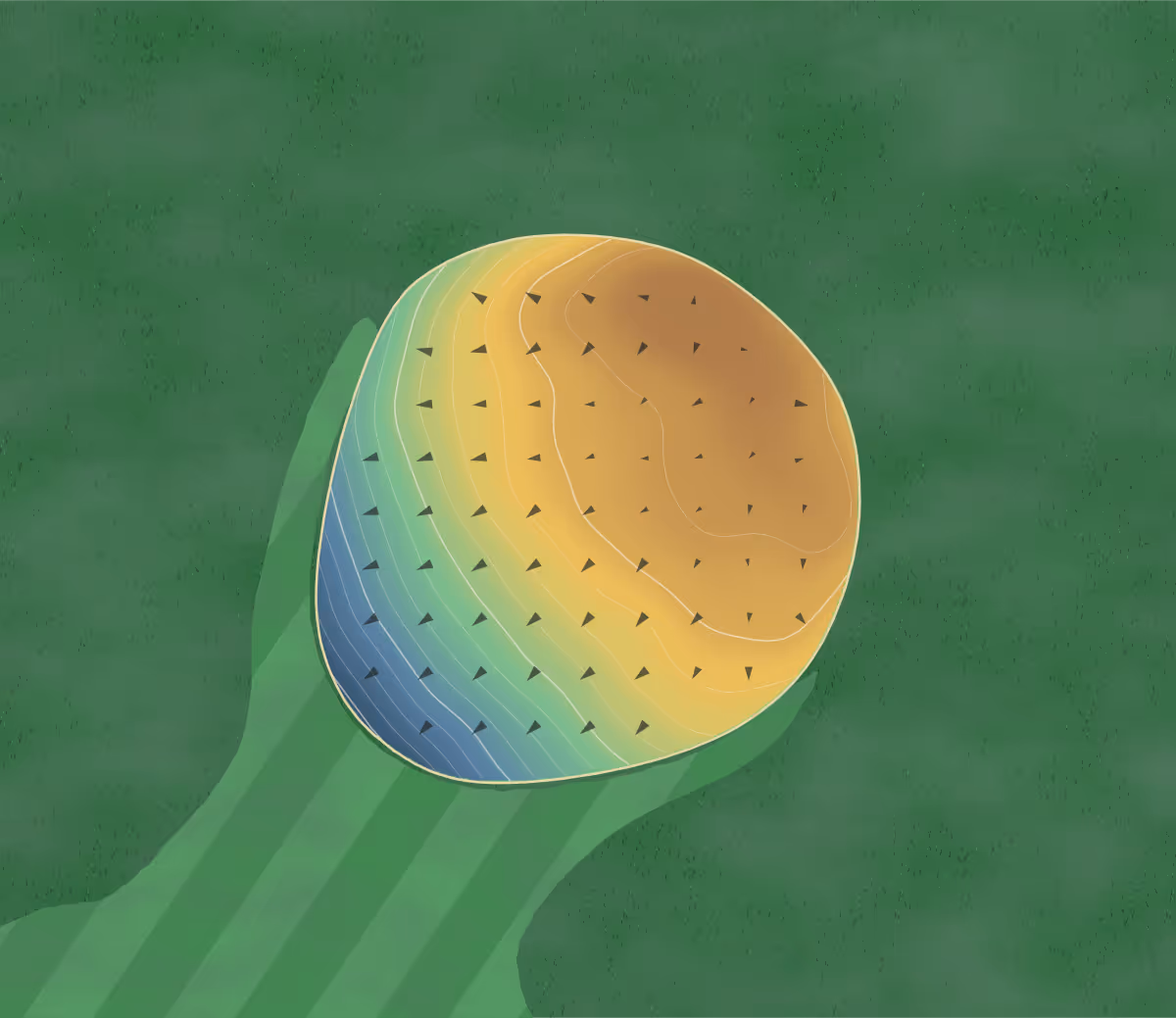 Green contour map of Monticello CC in Monticello, Kentucky: 104 elevation contours at a 3-inch interval with fall-line arrows, traced from 1-meter lidar