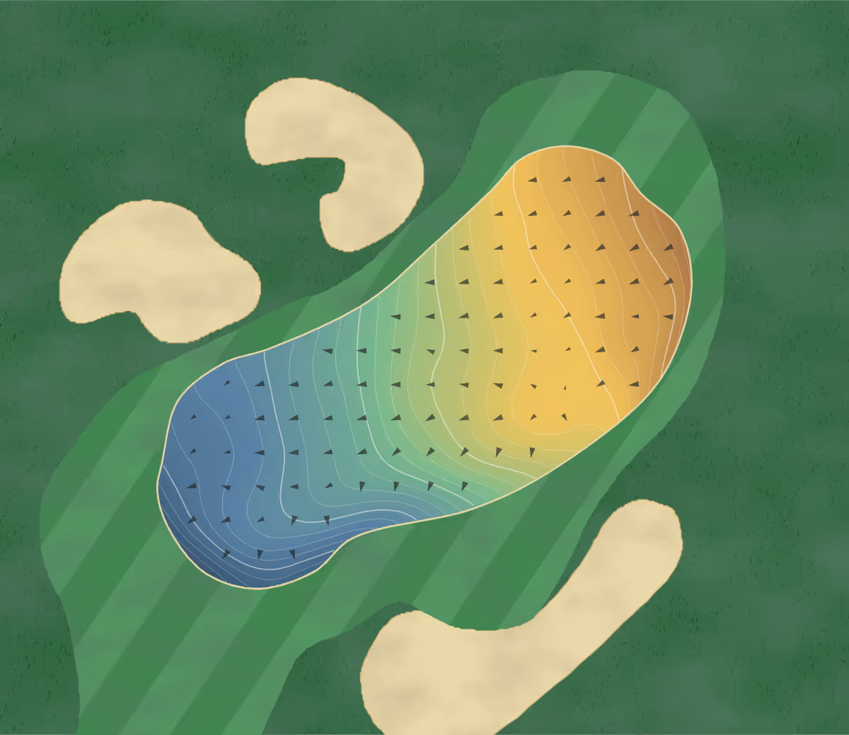 Green contour map of Moore Park in Sydney, Australia — 234 elevation contours at a 8-centimeter interval with fall-line arrows, traced from 1-meter lidar