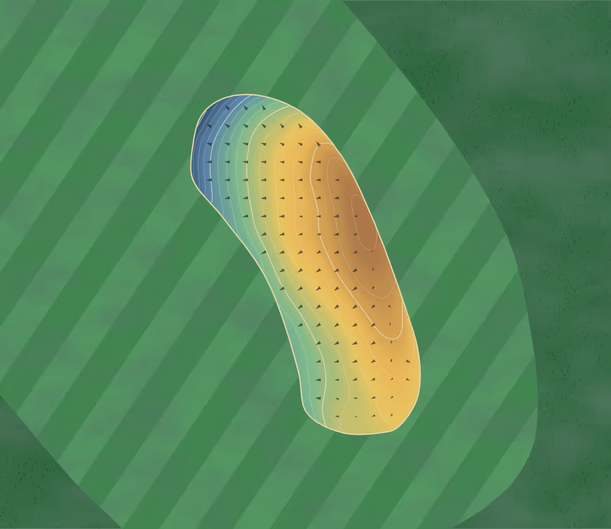 Green contour map of Moorhead in Moorhead, Minnesota: 141 elevation contours at a 3-inch interval with fall-line arrows, traced from 1-meter lidar