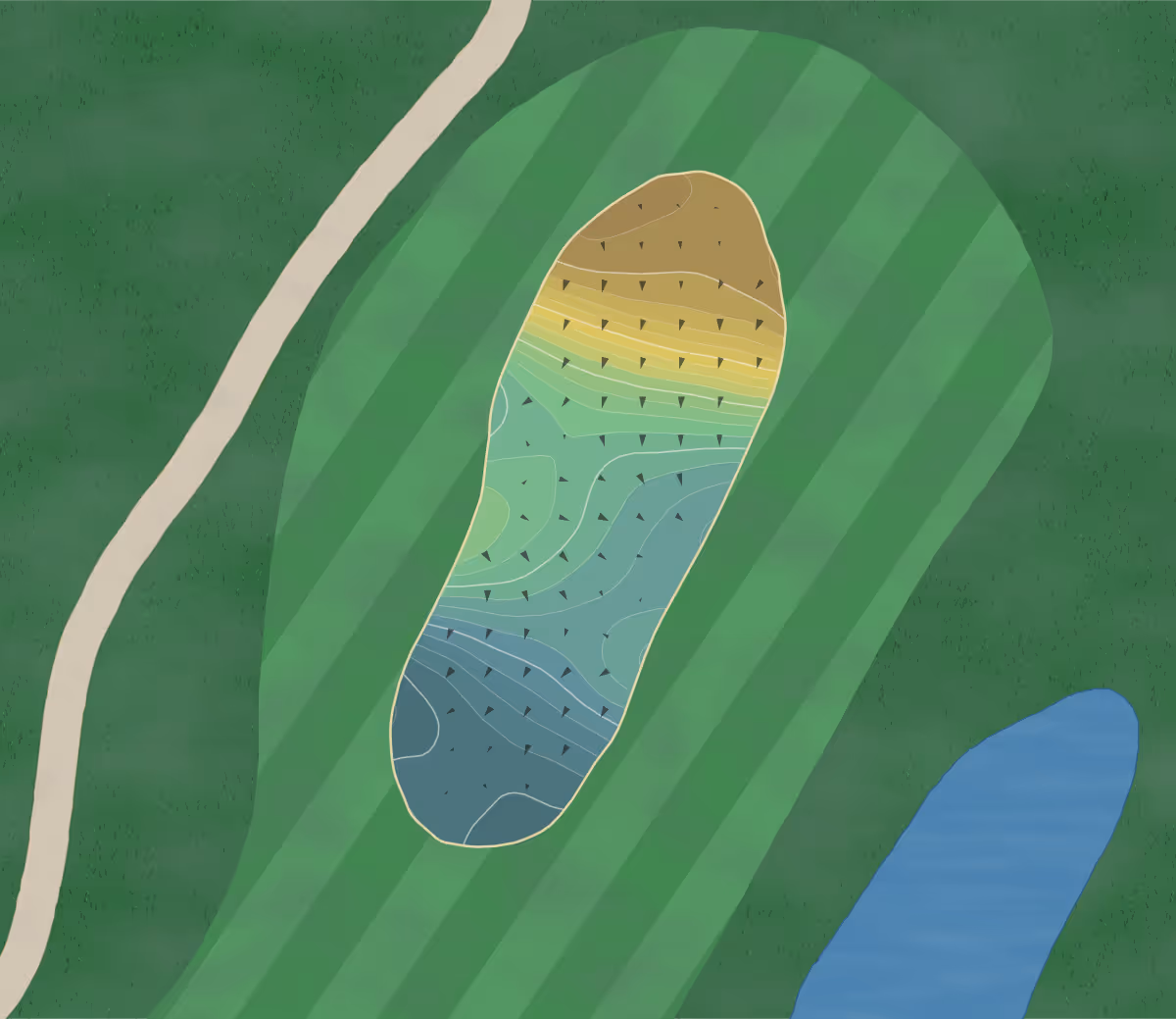 Green contour map of Moorland in Myrtle Beach, South Carolina — 237 elevation contours at a 3-inch interval with fall-line arrows, traced from 1-meter lidar