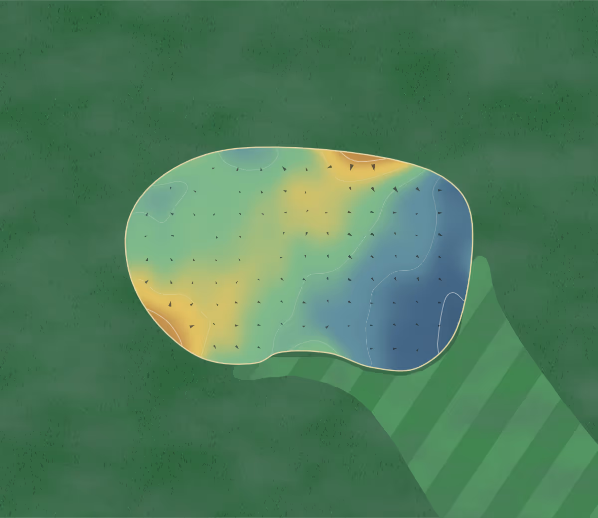 Green contour map of Moors Valley in Ringwood, England — 128 elevation contours at a 8-centimeter interval with fall-line arrows, traced from 1-meter lidar