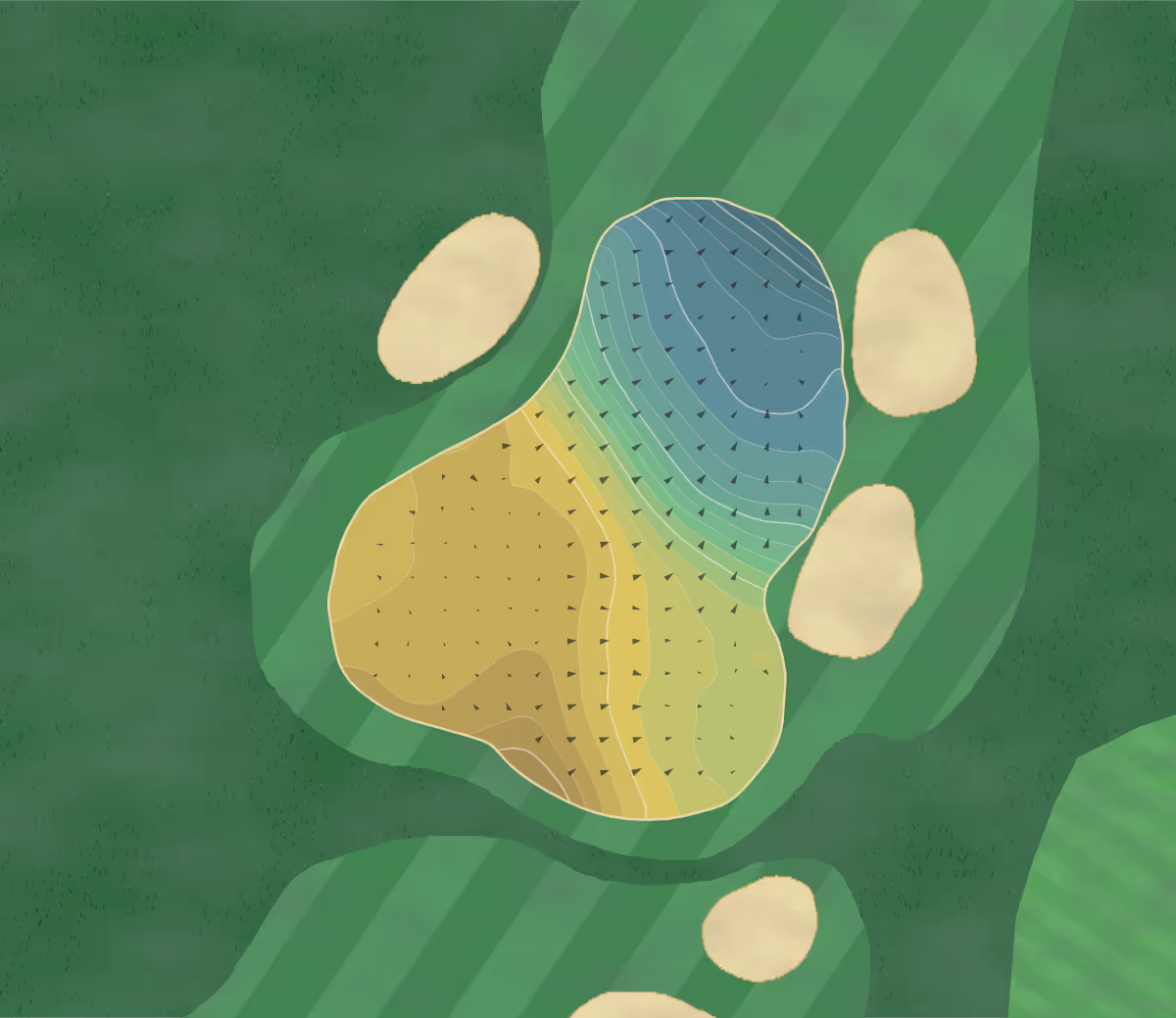 Green contour map of Morecambe GC in Morecambe, England — 262 elevation contours at a 8-centimeter interval with fall-line arrows, traced from 1-meter lidar