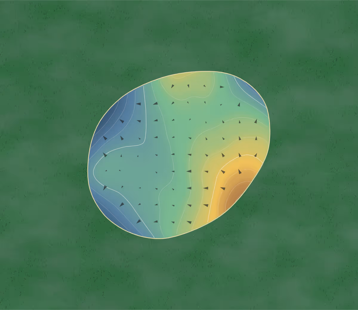 Green contour map of Moree's Cheraw in Cheraw, South Carolina: 142 elevation contours at a 3-inch interval with fall-line arrows, traced from 1-meter lidar
