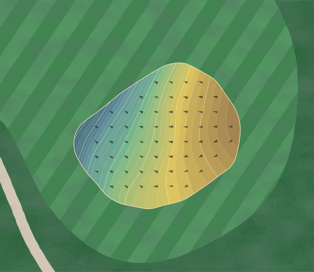 Green contour map of Mossy Creek in Cleveland, Georgia — 216 elevation contours at a 3-inch interval with fall-line arrows, traced from 1-meter lidar