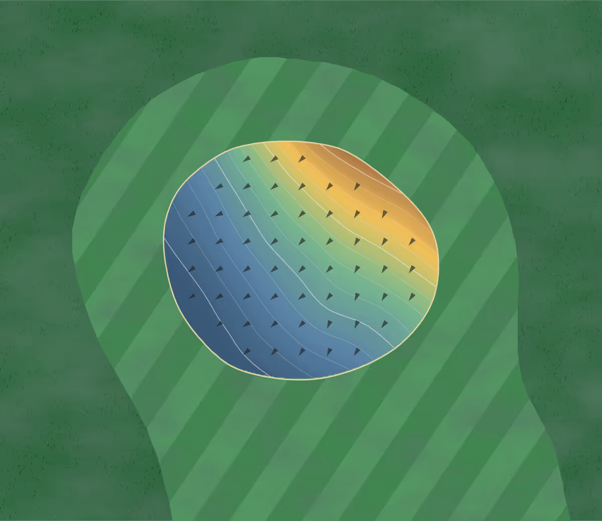 Green contour map of Mount Douglas in Saanich, Canada: 65 elevation contours at a 8-centimeter interval with fall-line arrows, traced from 1-meter lidar