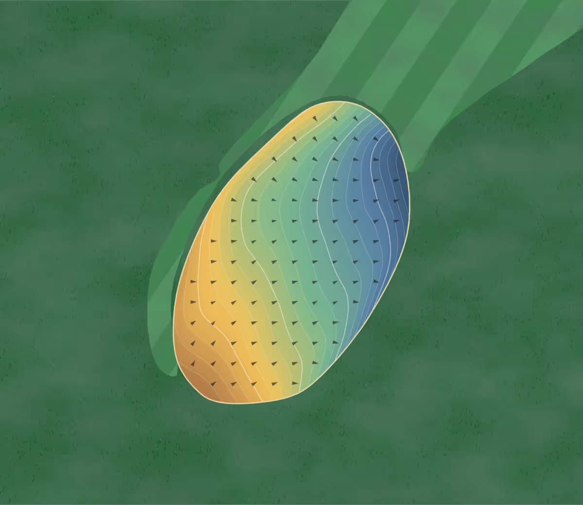 Green contour map of Mount Frontenac in Frontenac, Minnesota: 250 elevation contours at a 3-inch interval with fall-line arrows, traced from 1-meter lidar