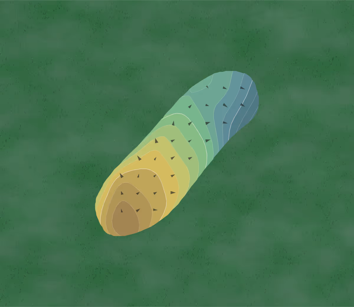 Green contour map of Mountain Creek in Robert Lee, Texas — 79 elevation contours at a 3-inch interval with fall-line arrows, traced from 1-meter lidar