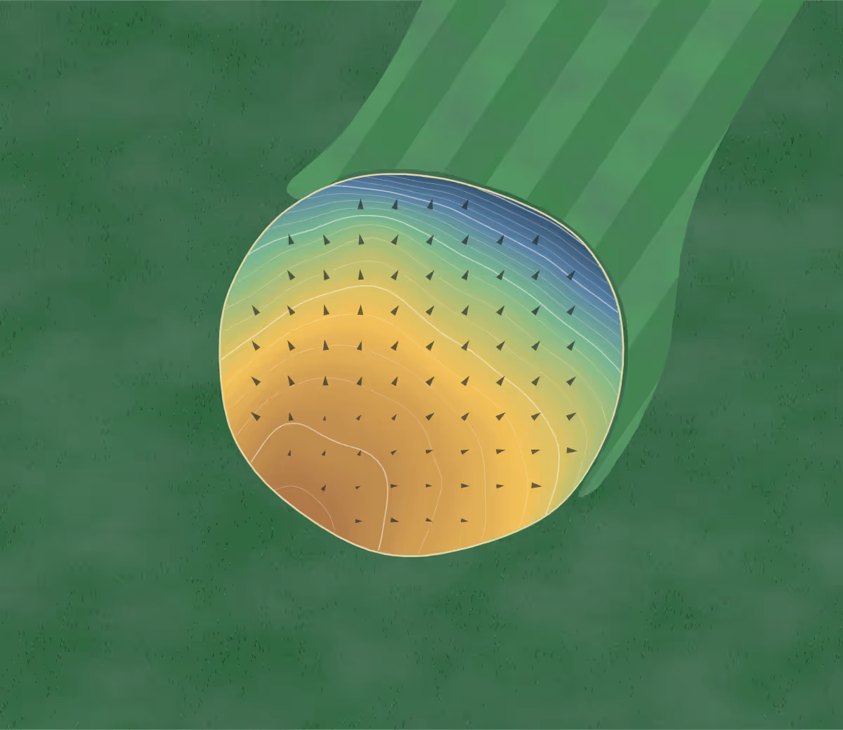 Green contour map of Mountain Creek in Perth, Canada: 207 elevation contours at a 8-centimeter interval with fall-line arrows, traced from 1-meter lidar