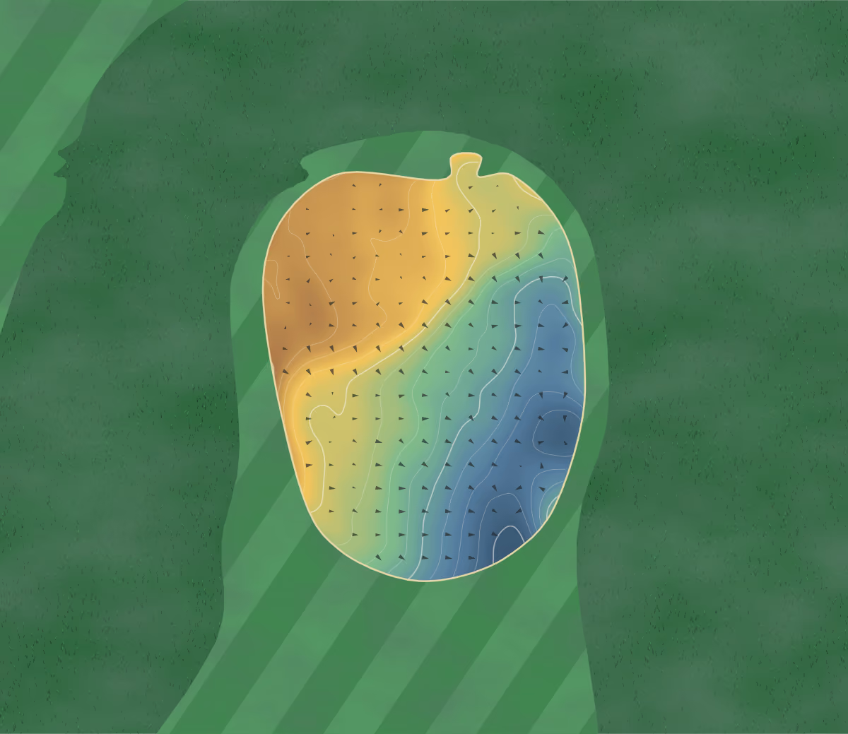 Green contour map of Muir of Ord in Muir of Ord, Scotland: 81 elevation contours at a 8-centimeter interval with fall-line arrows, traced from 1-meter lidar