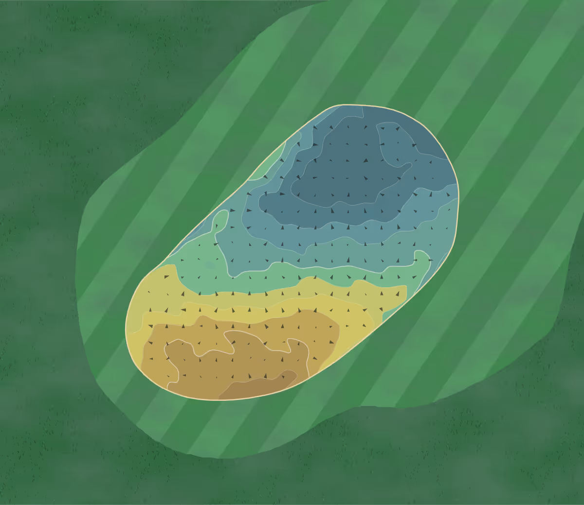 Green contour map of Muirfield in Gullane, Scotland — 246 elevation contours at a 8-centimeter interval with fall-line arrows, traced from 1-meter lidar