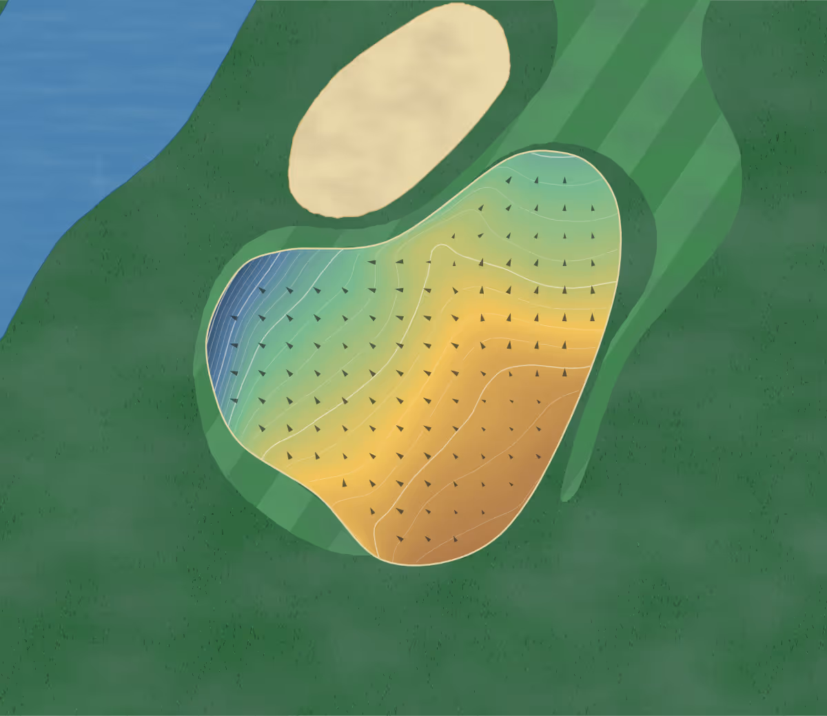 Green contour map of Mulligans in Courtenay, Canada: 109 elevation contours at a 8-centimeter interval with fall-line arrows, traced from 1-meter lidar