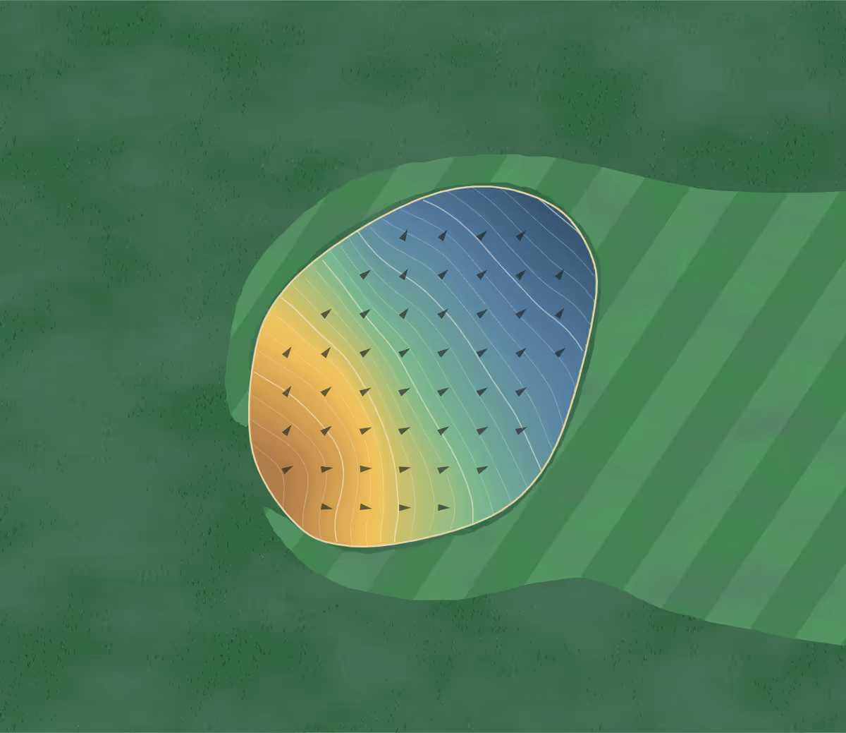 Green contour map of Murray Hills in Brighton, Canada: 148 elevation contours at a 8-centimeter interval with fall-line arrows, traced from 1-meter lidar
