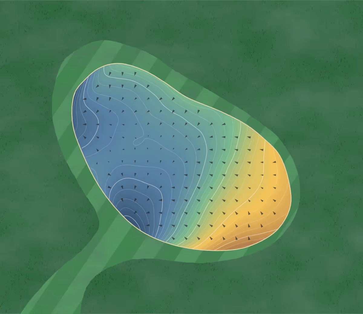 Green contour map of Muskoka Bay in Gravenhurst, Canada — 300 elevation contours at a 8-centimeter interval with fall-line arrows, traced from 1-meter lidar